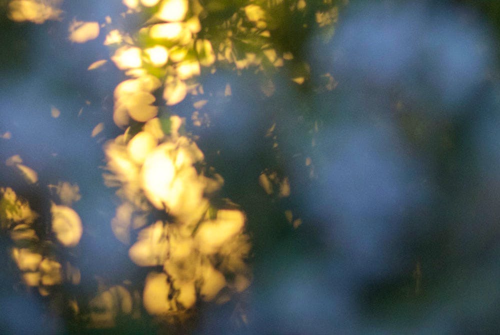 Poetry inspired by the life of Bahá’u’lláh