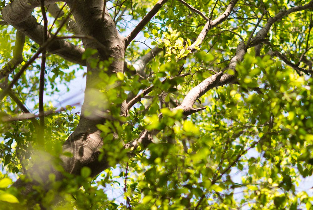 Songs about Bahá’u’lláh in Tagalog 