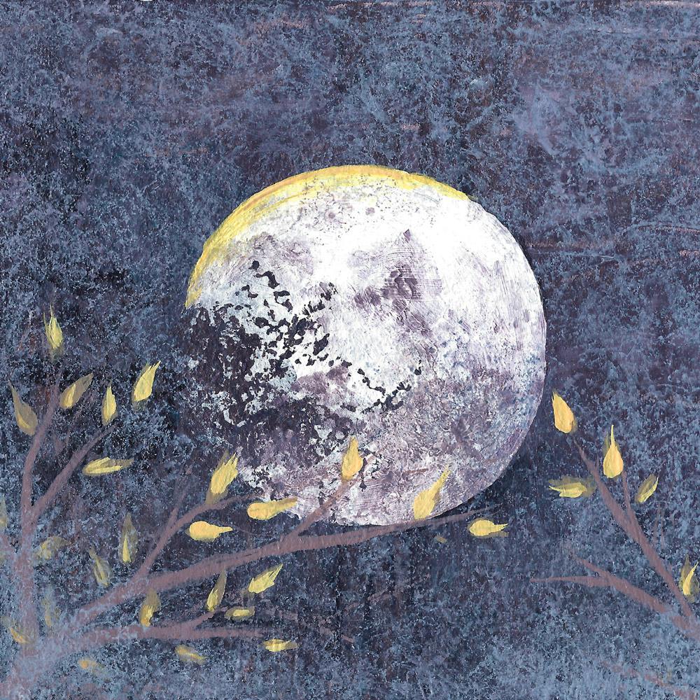 Альбом песен, Les paroles cachées