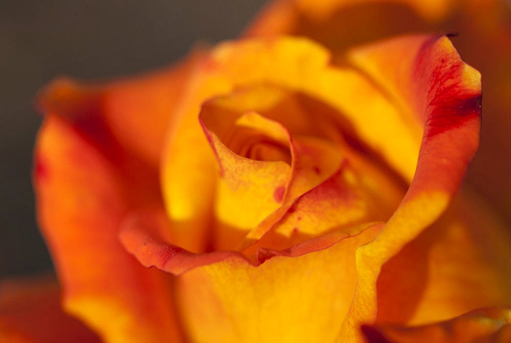 Song about peace and unity